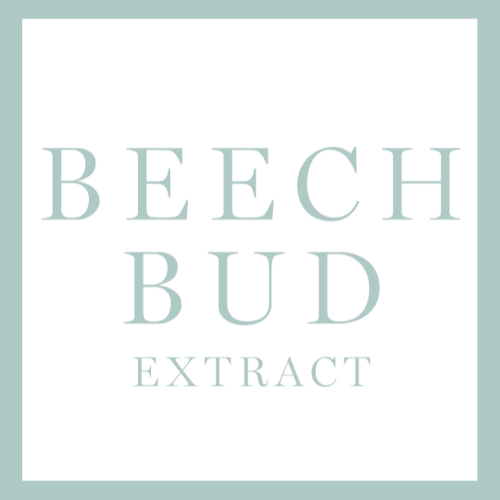 BEECH BUD EXTRACT